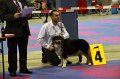 IMG_0447