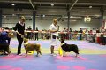 IMG_0451