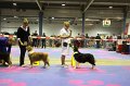 IMG_0452