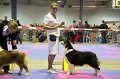IMG_0453