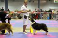 IMG_0454