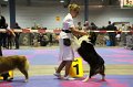 IMG_0457