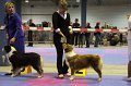 IMG_0458