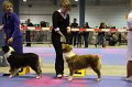 IMG_0459