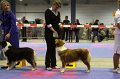 IMG_0460
