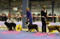 IMG_0461