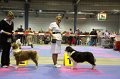 IMG_0466