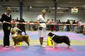 IMG_0468