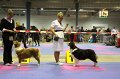 IMG_0470