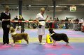 IMG_0471