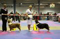 IMG_0472