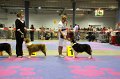 IMG_0473