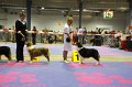IMG_0474
