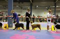 IMG_0475
