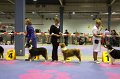 IMG_0476