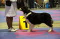 IMG_0477
