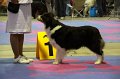 IMG_0478