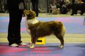 IMG_0479