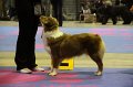 IMG_0480