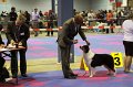 IMG_0483