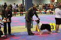 IMG_0484