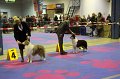 IMG_0501