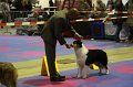 IMG_0509