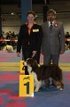 IMG_0535