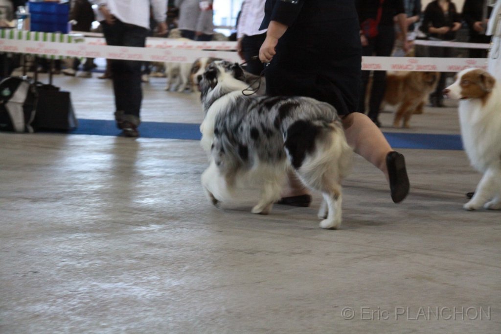 IMG_0576.JPG