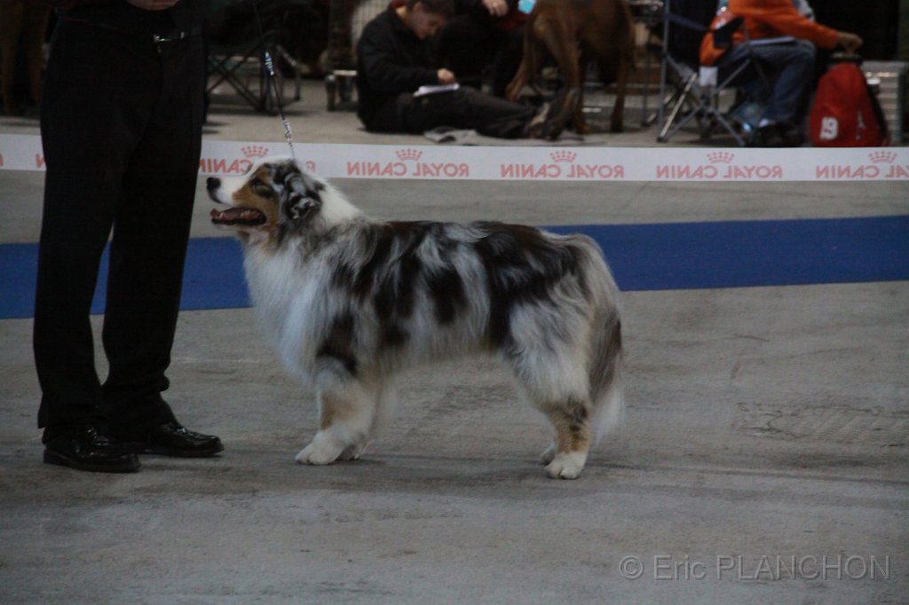 IMG_0614.JPG