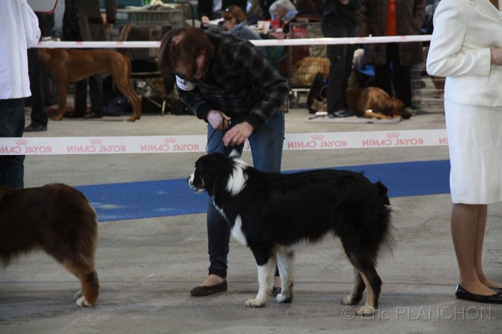 IMG_0666.JPG