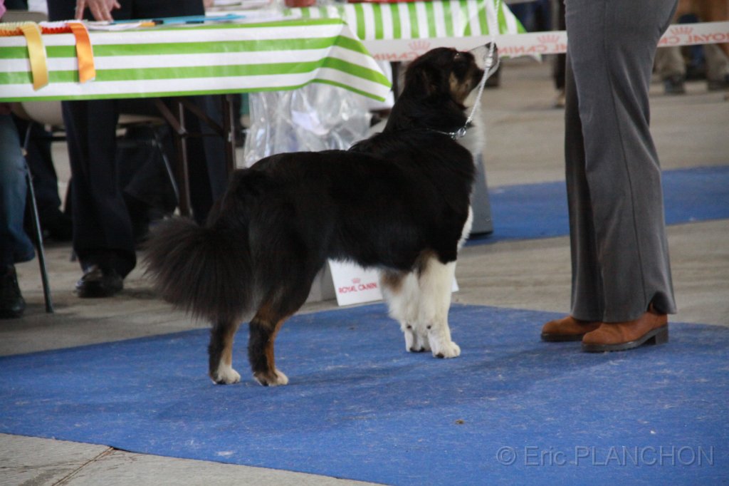 IMG_0817.JPG