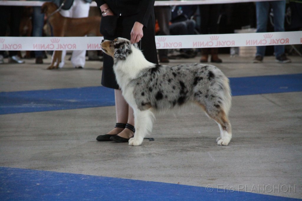 IMG_0933.JPG