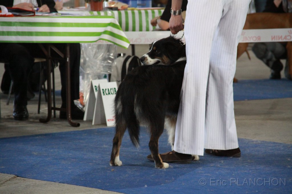 IMG_1021.JPG