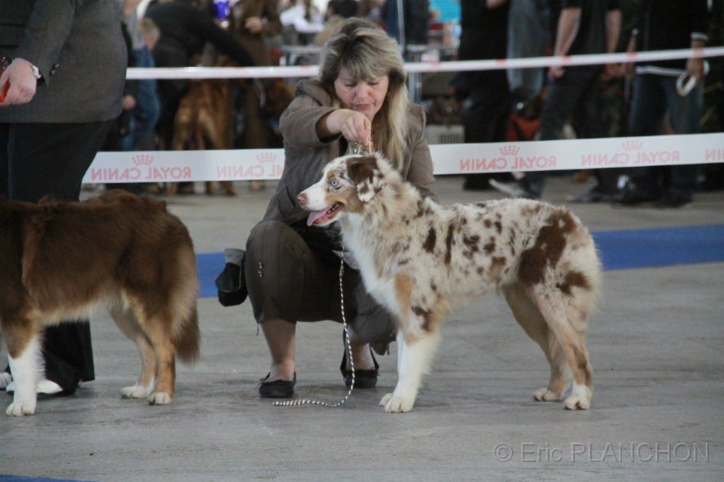 IMG_1028.JPG