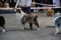 IMG_0539