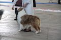 IMG_0543
