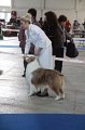 IMG_0544