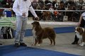 IMG_0545