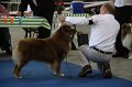 IMG_0556