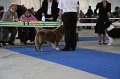 IMG_0557