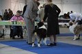 IMG_0558