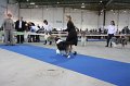 IMG_0560