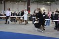 IMG_0561