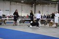 IMG_0563