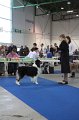 IMG_0567