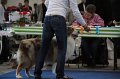 IMG_0570