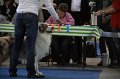 IMG_0571