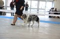 IMG_0574