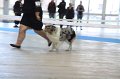 IMG_0575